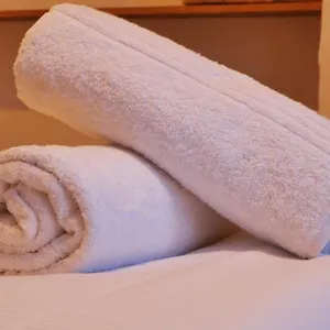 Au Charme D'antan En Plein Coeur Du Vieux Hébergement de vacances